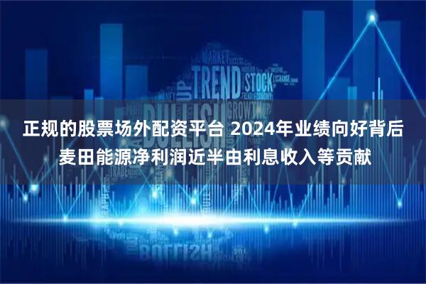 正规的股票场外配资平台 2024年业绩向好背后 麦田能源净利润近半由利息收入等贡献